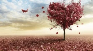 Какво ви очаква в любовта до края на годината - ТУК