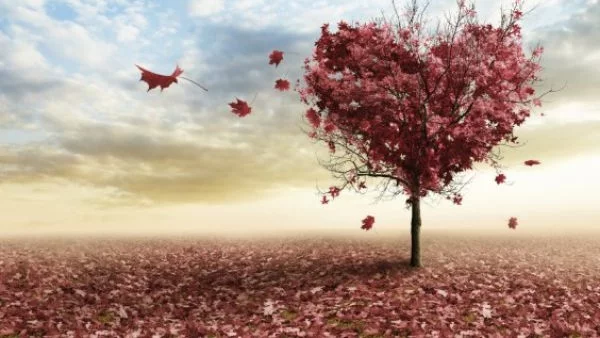 Какво ви очаква в любовта до края на годината - ТУК