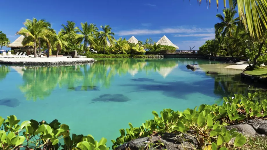 МВнР: Не пътувайте до Малдивите, ще ви сложат под карантина