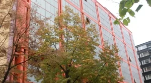 Сметната палата ще проверява МВР