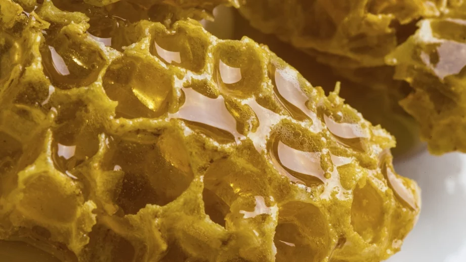 Реколтата от мед ще бъде слаба заради аномалиите във времето 