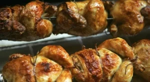 ГМО пилета - решението на проблема с птичия грип?