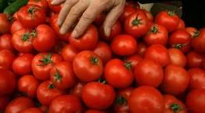 Турция е увеличила двойно износа си на домати 