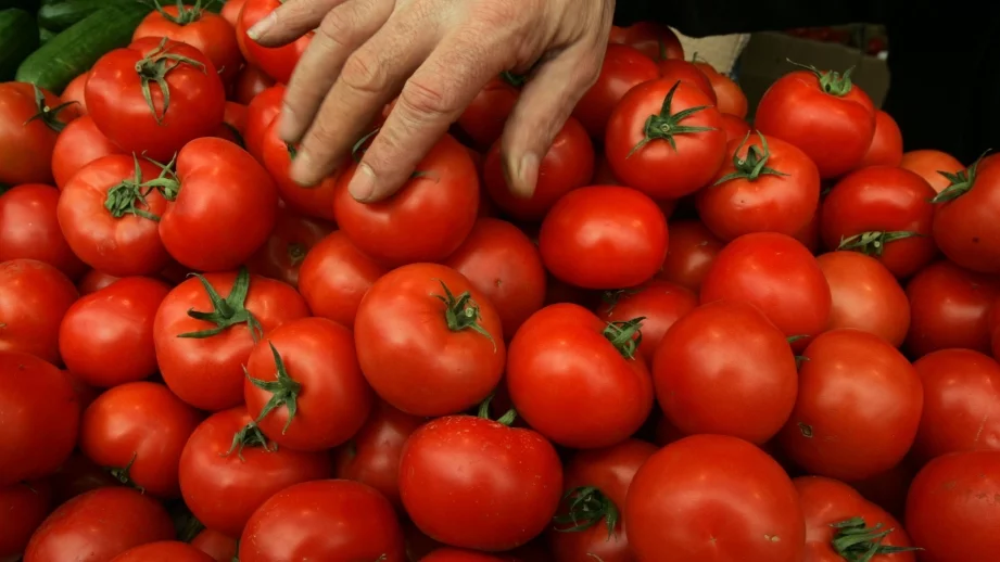 Турция е увеличила двойно износа си на домати