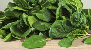 10 храни, които да ядем през пролетта