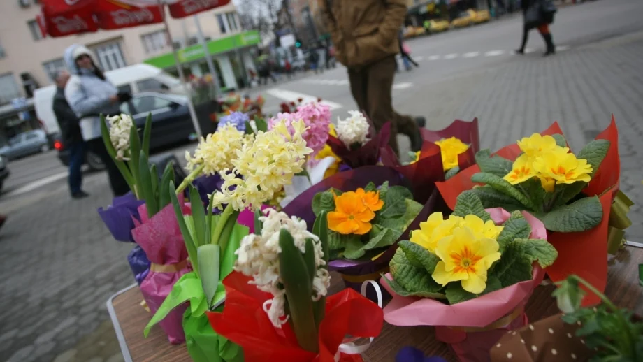 Търговците на цветя укриват по 6,9 млн.лв. данъци годишно