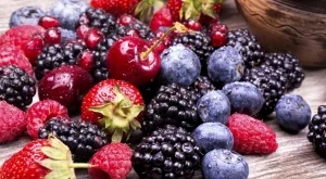 Законът за ГМО влиза за гласуване в Европарламента