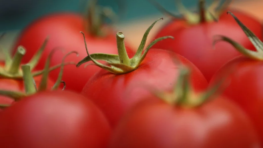 Откриват фермерски пазар за български домати в столицата
