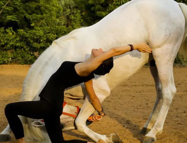 Йога с коне