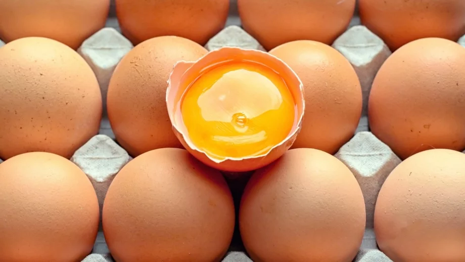 Фермите, в които откриха яйца с фипронил, остават под възбрана