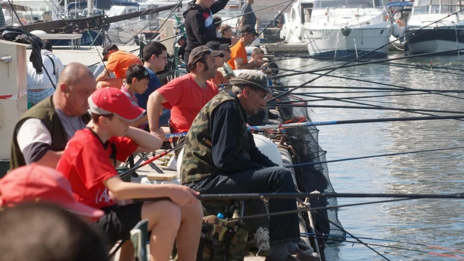 Забраняват улова на калкан и черноморска акула 