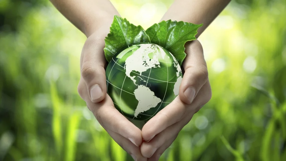 14 лесни начина да помогнете за опазването на околната среда 