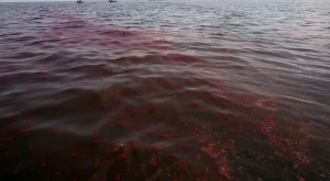 BP ще плати рекордно обезщетение за разлива в Мексиканския залив