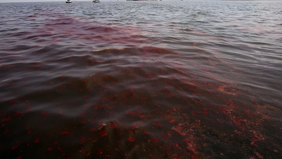 BP ще плати рекордно обезщетение за разлива в Мексиканския залив