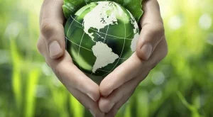 Пролетен ВЕГ Фест