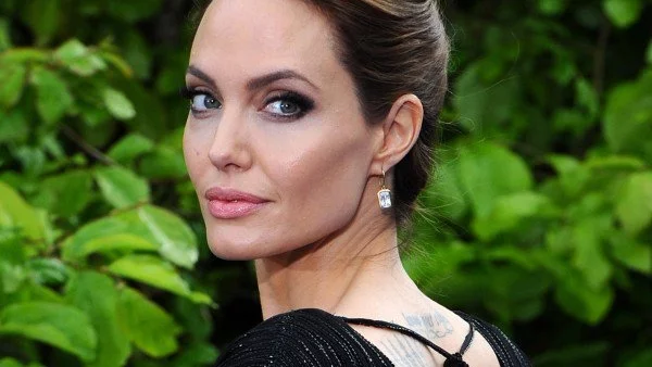 Анджелина Джоли стана професор