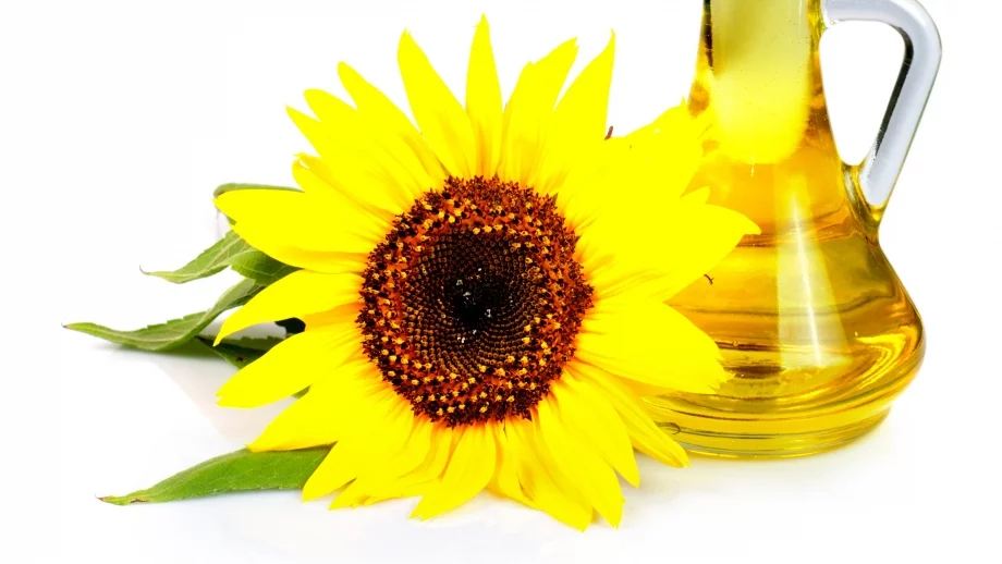 Олиото поскъпва от следващия месец заради слабата реколта на слънчоглед