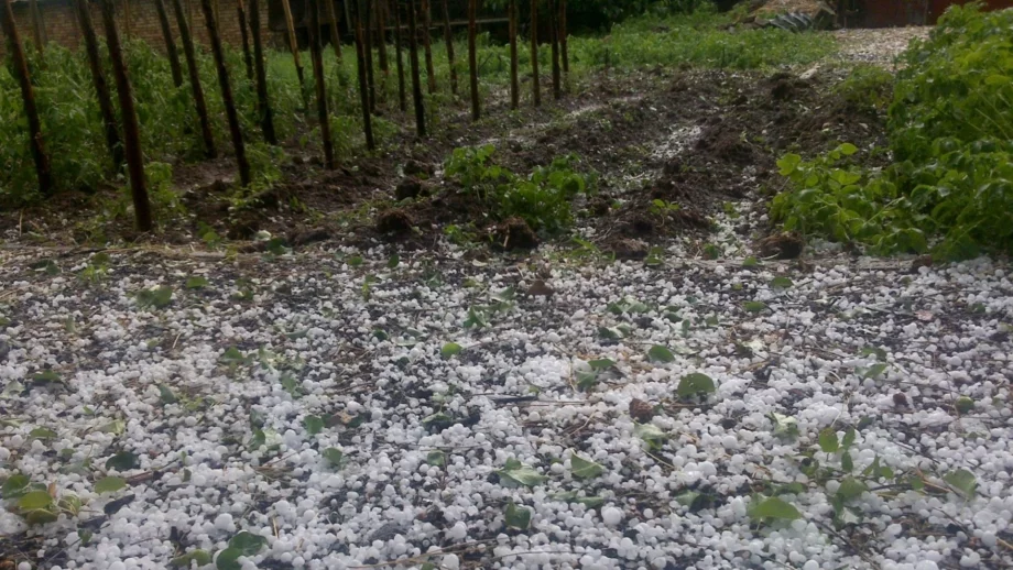 Самолети пазят нивите в половин България от градушки 