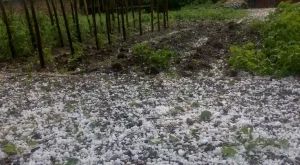 До 10 дни пускат още две противоградни ракетни площадки