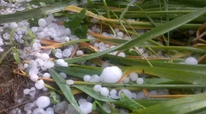 Застраховките поскъпват заради нов данък "Градушка"