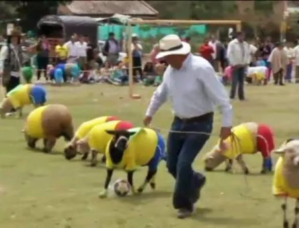 Колумбия тресна Бразилия в мач между овце (СНИМКИ+ВИДЕО)