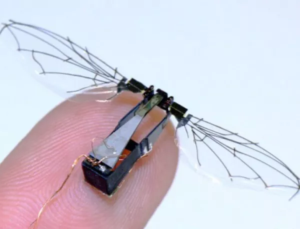 Robo-Fly – най-малкият сред най-малките