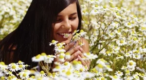 За какво е полезна лайката