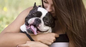 Това, на което ме научиха моите кучета