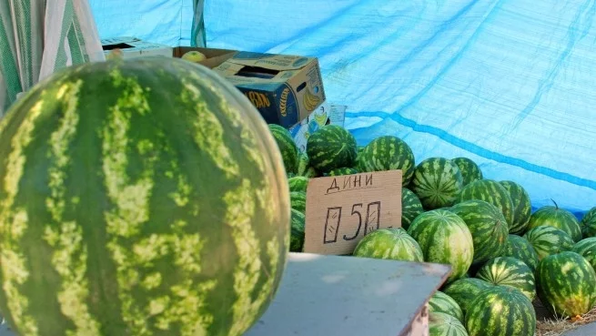 Ирански дини заливат пазара през лятото 