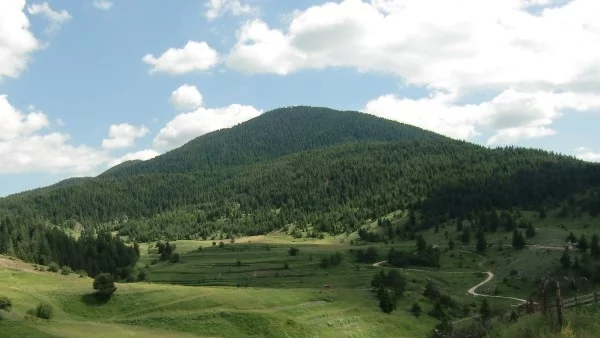 Рекордно залесяване в България предвиждат от МЗХ за тази година