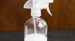 Домашен препарат за почистване на стъкла