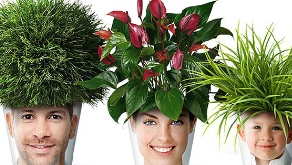 Дизайнерски идеи за един по-зелен дом