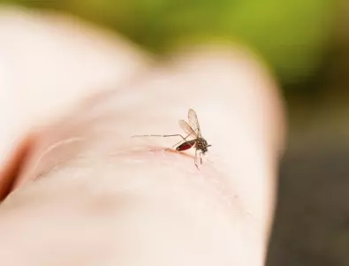Ето кои хора привличат комарите и защо