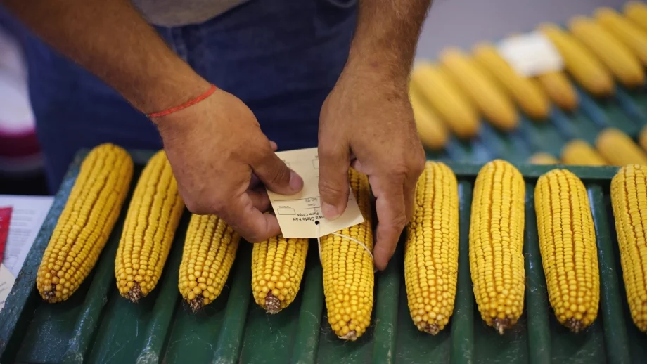 75% от българите искат да се въведе доброволен стандарт "Без ГМО"