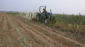 Започва изплащането на субсидии за фермерите