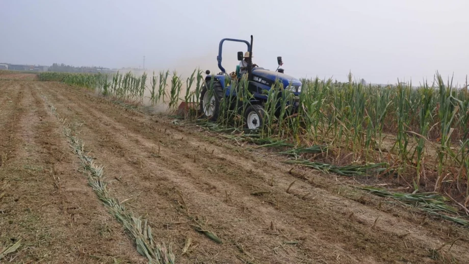 Отварят шест нови мерки по ПРСР до края на годината