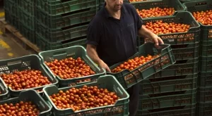 45 000 еднодневни трудови договори са регистрирани от началото на 2017 г.