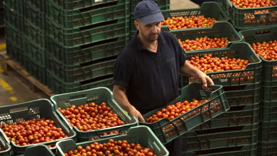 Как работата в чужбина да не се превръща в робски труд 