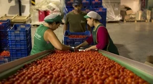 2014/08/11/0723806001407745282