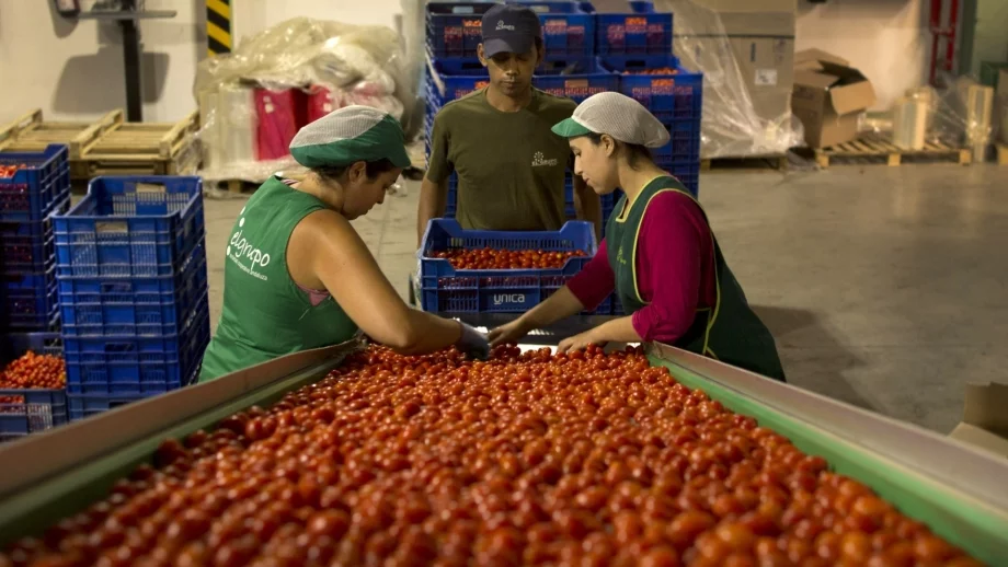 80 млн. лв. отиват за подобряване на условията на труд
