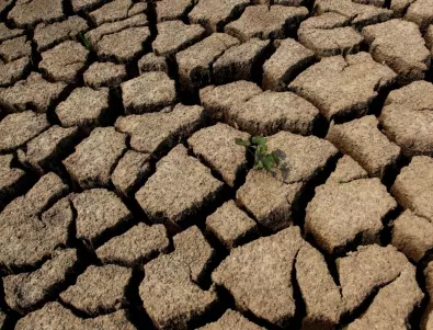 Природата не е виновна за сушата, смятат климатолози