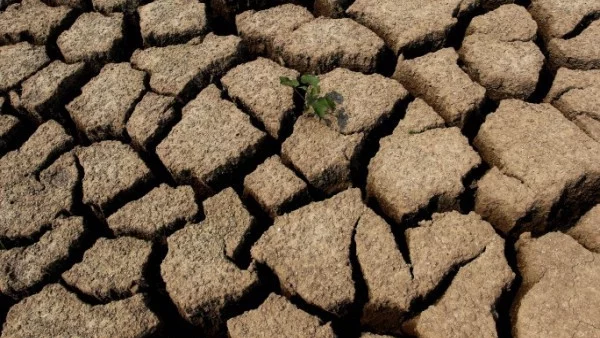 Без вода: Най-тежката криза в историята на Индия