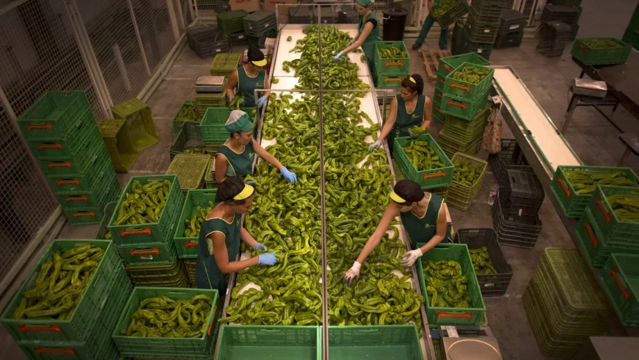 Менпауър: 15% от работодателите очакват повишаване на броя на персонала през идните три месеца