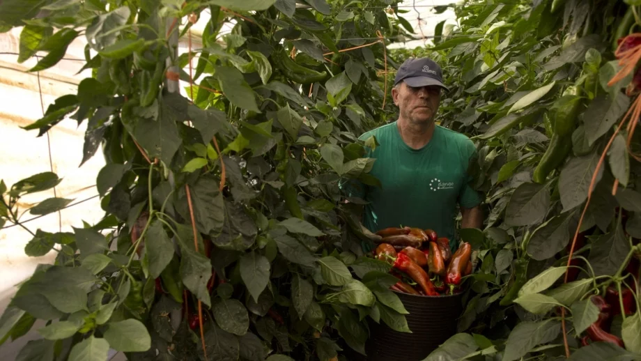 Вече се приемат заявления за застраховане на селскостопанска продукция