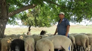 През 2014 – лек ръст в овощарството, проблеми в животновъдството