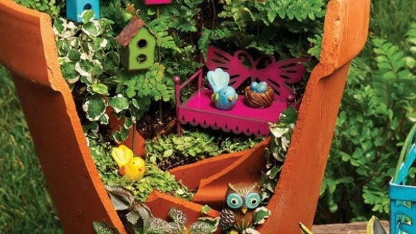 Красива градина в счупена саксия