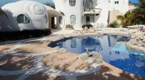 Да живееш в мида