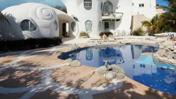 Да живееш в мида