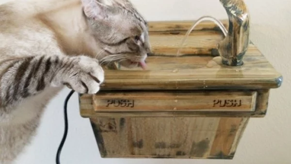 Създадоха чешмички  за котки