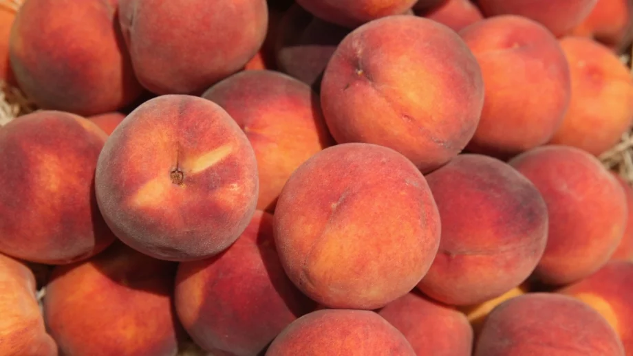 Огромни щети по реколтата от праскови и кайсии в Северна България